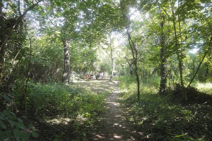 Gartenprojekt der Jakobusschule