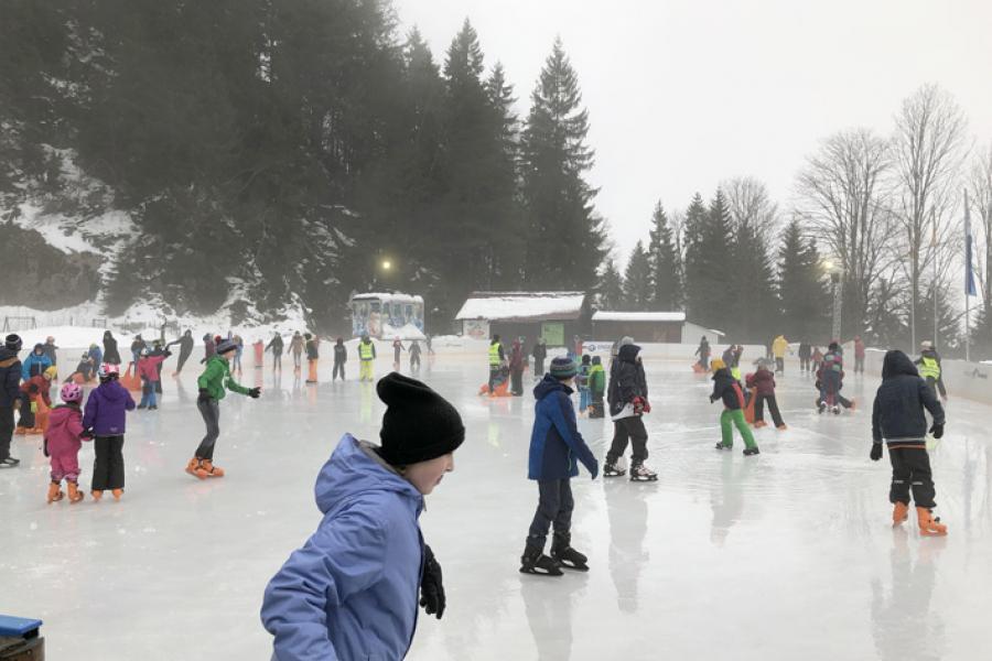 Wintersporttag der Leopardenklasse (Schlittschuhlaufen)