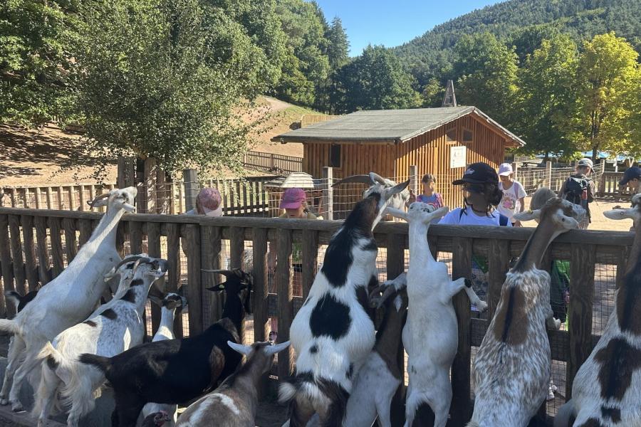 Drei Tage voller Abenteuer in Bad Bergzabern