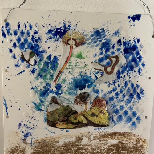 Wasserwelt 31