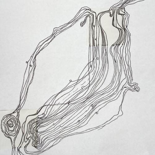 Symbiose 6