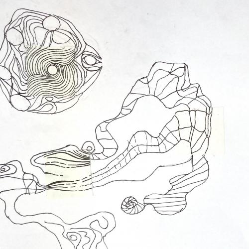 Symbiose 11