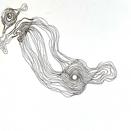 Symbiose 14