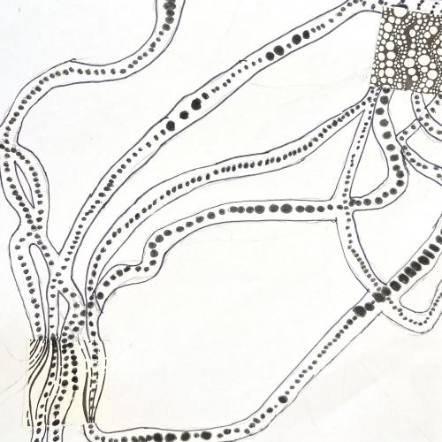 Symbiose 15