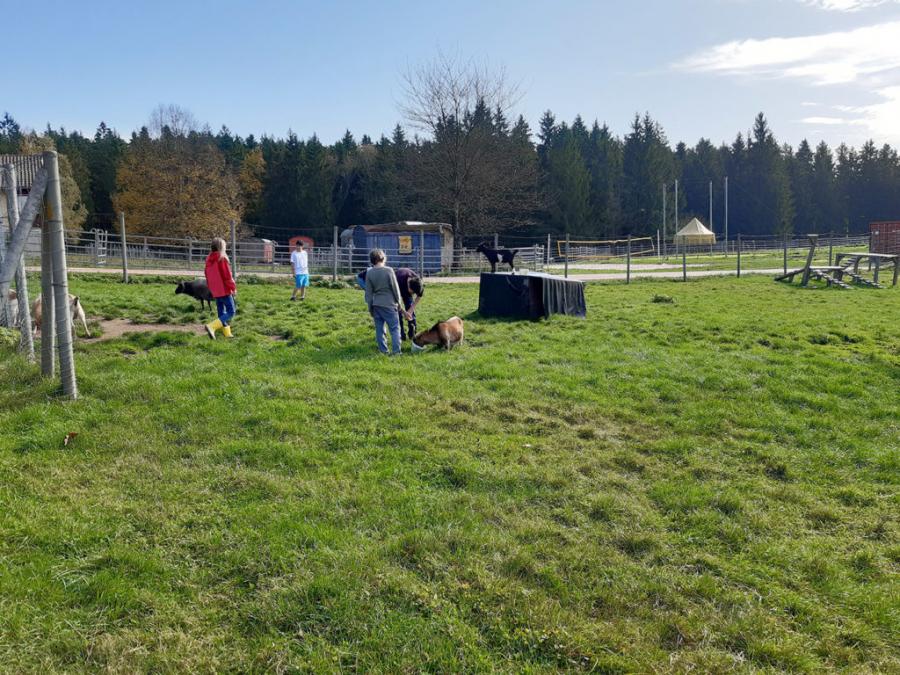 Landschulheim der Saphire 15.10.2019
