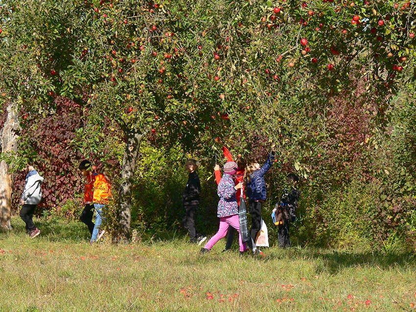 Schulklasse Fledermäuse auf der Streuobstwiese