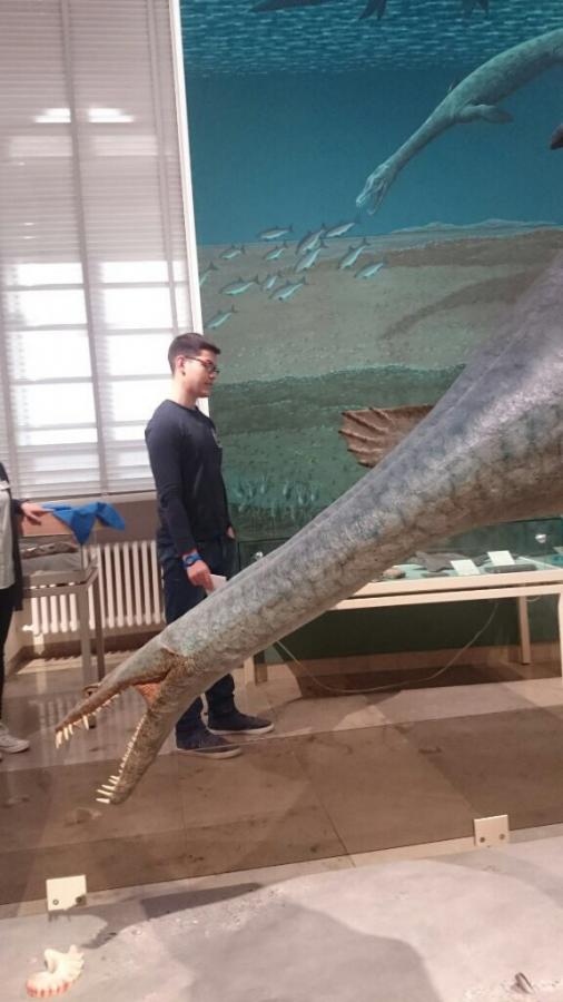 Naturkundemuseumsbesuch am 14.05.2019