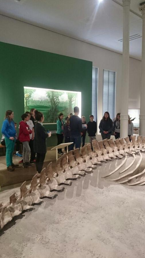 Naturkundemuseumsbesuch am 14.05.2019