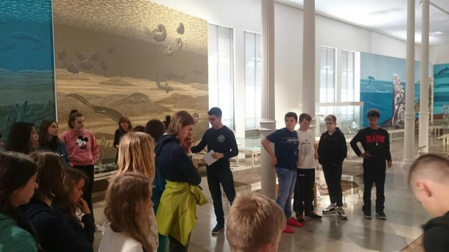Naturkundemuseumsbesuch am 14.05.2019