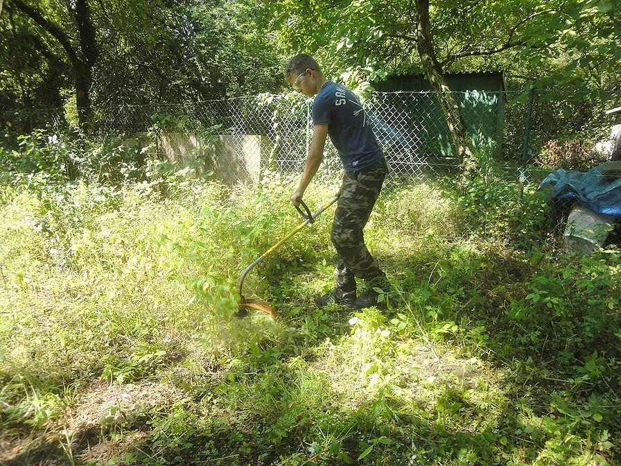 Gartenprojekt der Jakobusschule
