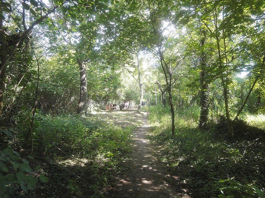 Gartenprojekt der Jakobusschule