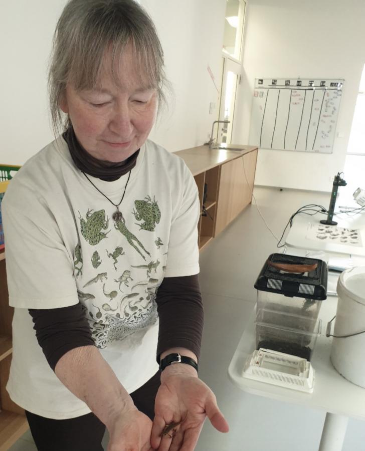 Besuch von Frau Carl zum Thema „Amphibien“ am 13.03.20