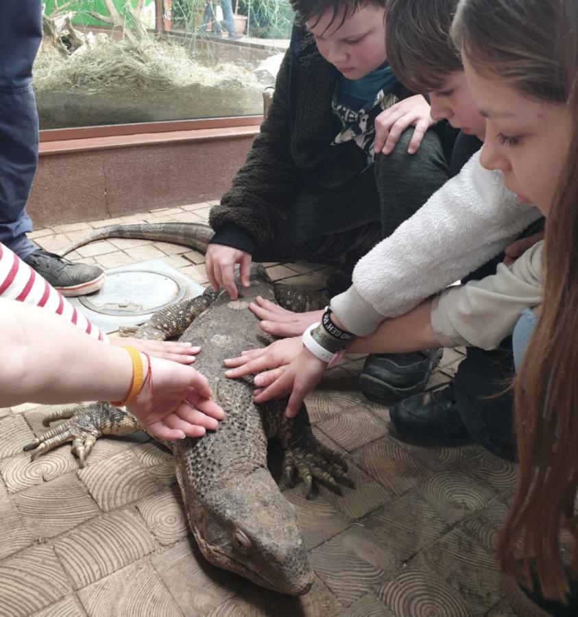 Ausflug ins Reptilium am 20.02.20
