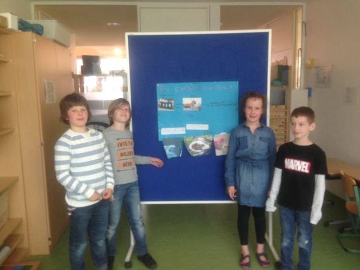  Das „Plastik-Projekt“ der Fledermäuse