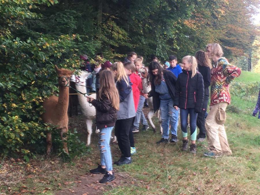 Landschulheim der Saphire 18.10.19