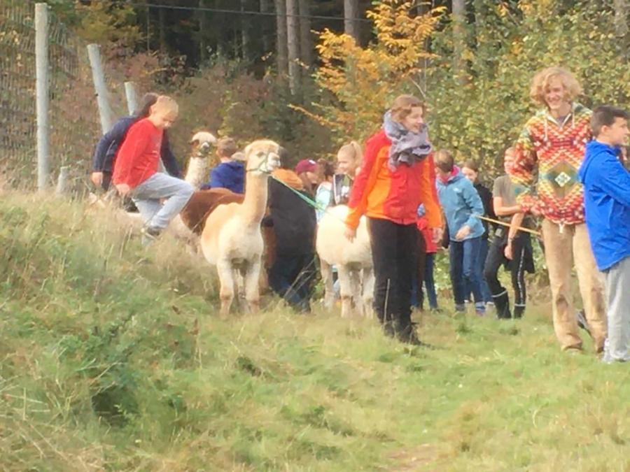 Landschulheim der Saphire 18.10.19
