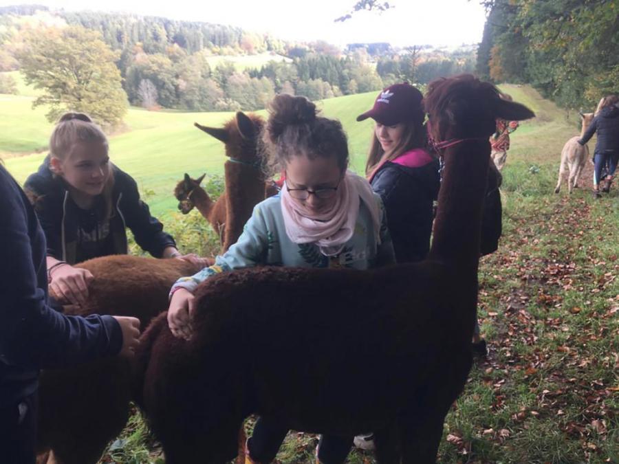 Landschulheim der Saphire 18.10.19