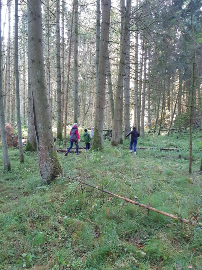 Landschulheim der Saphire 18.10.19