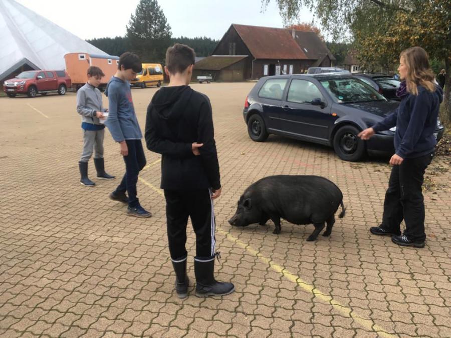 Landschulheim der Saphire 18.10.19