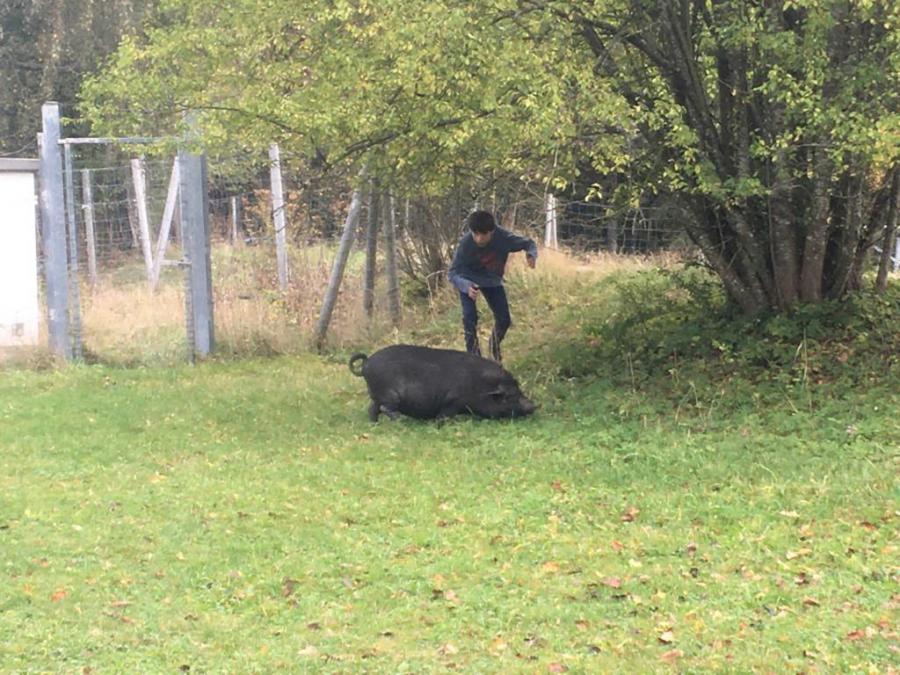 Landschulheim der Saphire 18.10.19