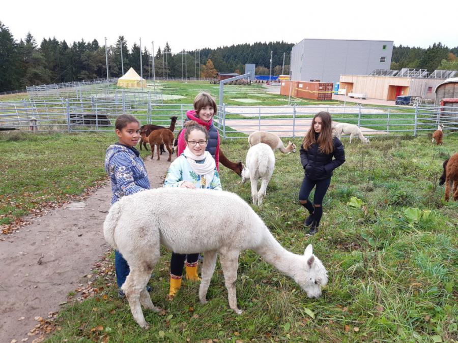 Landschulheim der Saphire 18.10.19