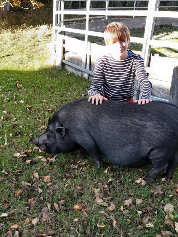 Landschulheim der Saphire 17.10.19