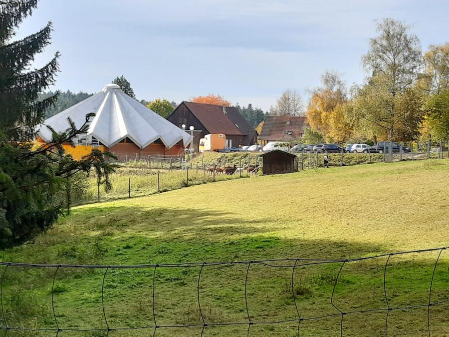 Landschulheim der Saphire 16.10.19