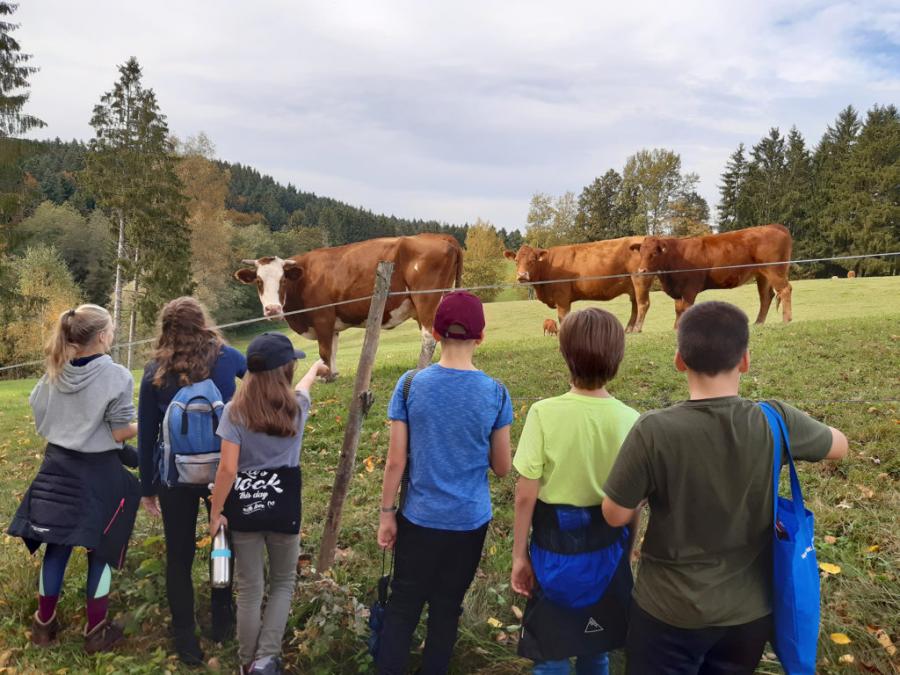 Landschulheim der Saphire 16.10.19