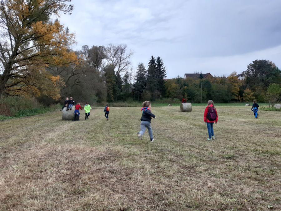 Landschulheim der Saphire 16.10.19