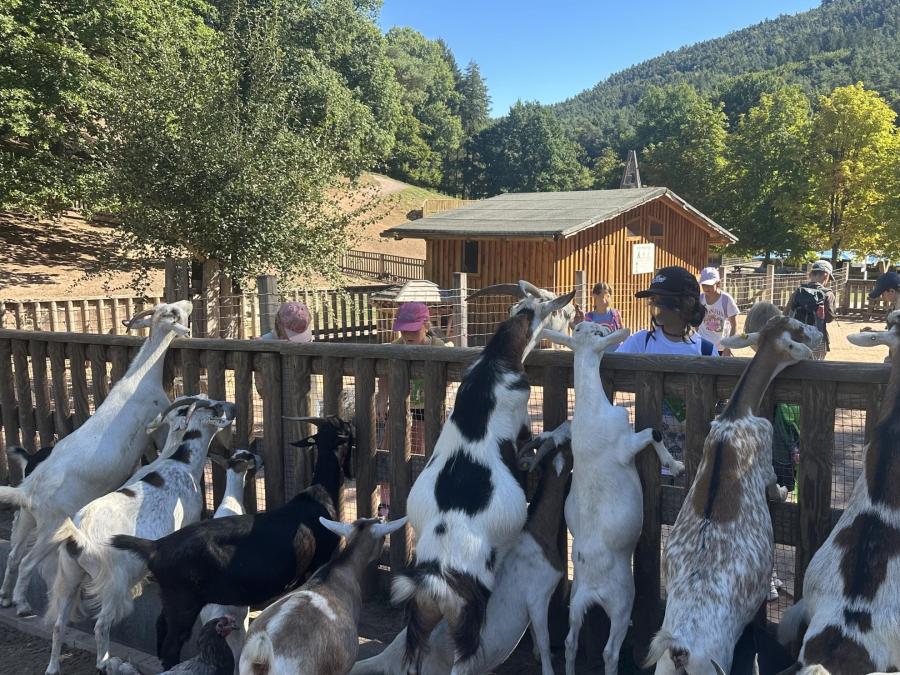 Drei Tage voller Abenteuer in Bad Bergzabern